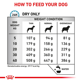 Royal Canin Veterinary Diets Derma Anallergenic torrfoder för hundar 8 kg