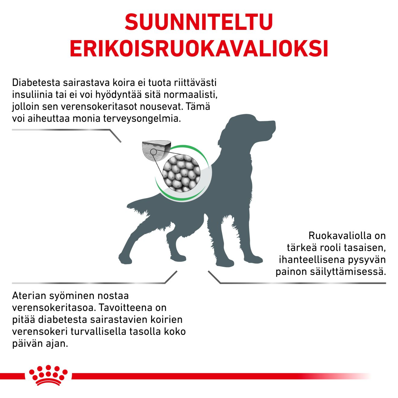 Royal Canin Veterinary Diets Weight Management Diabetic torrfoder för hund 1,5 kg