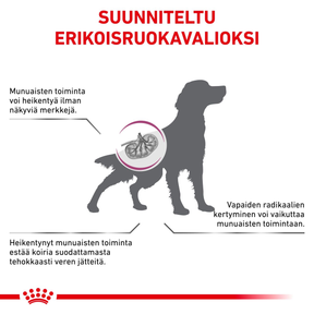 Royal Canin Veterinary Diets Vital Early Renal torrfoder för hund