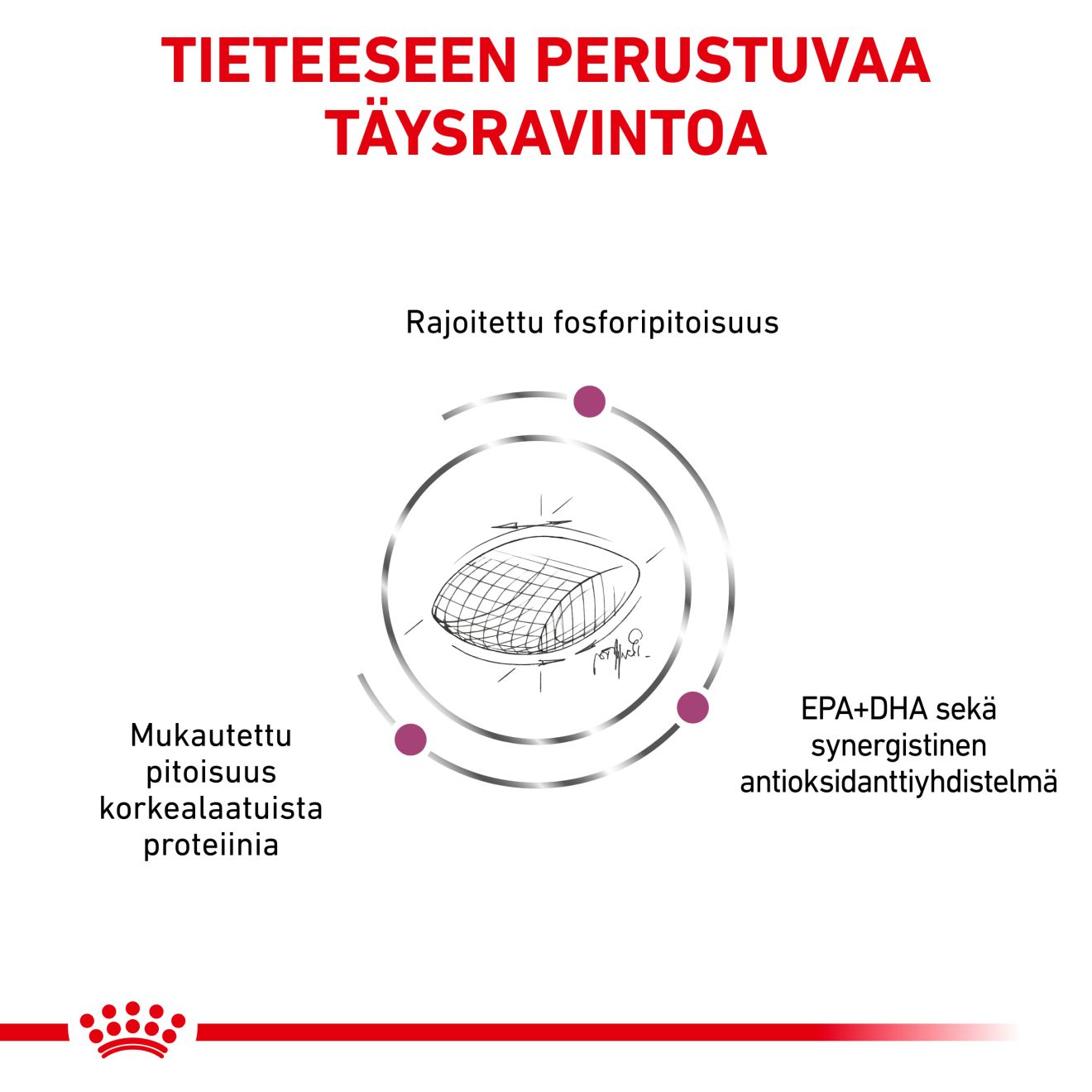 Royal Canin Veterinary Diets Vital Early Renal torrfoder för hund