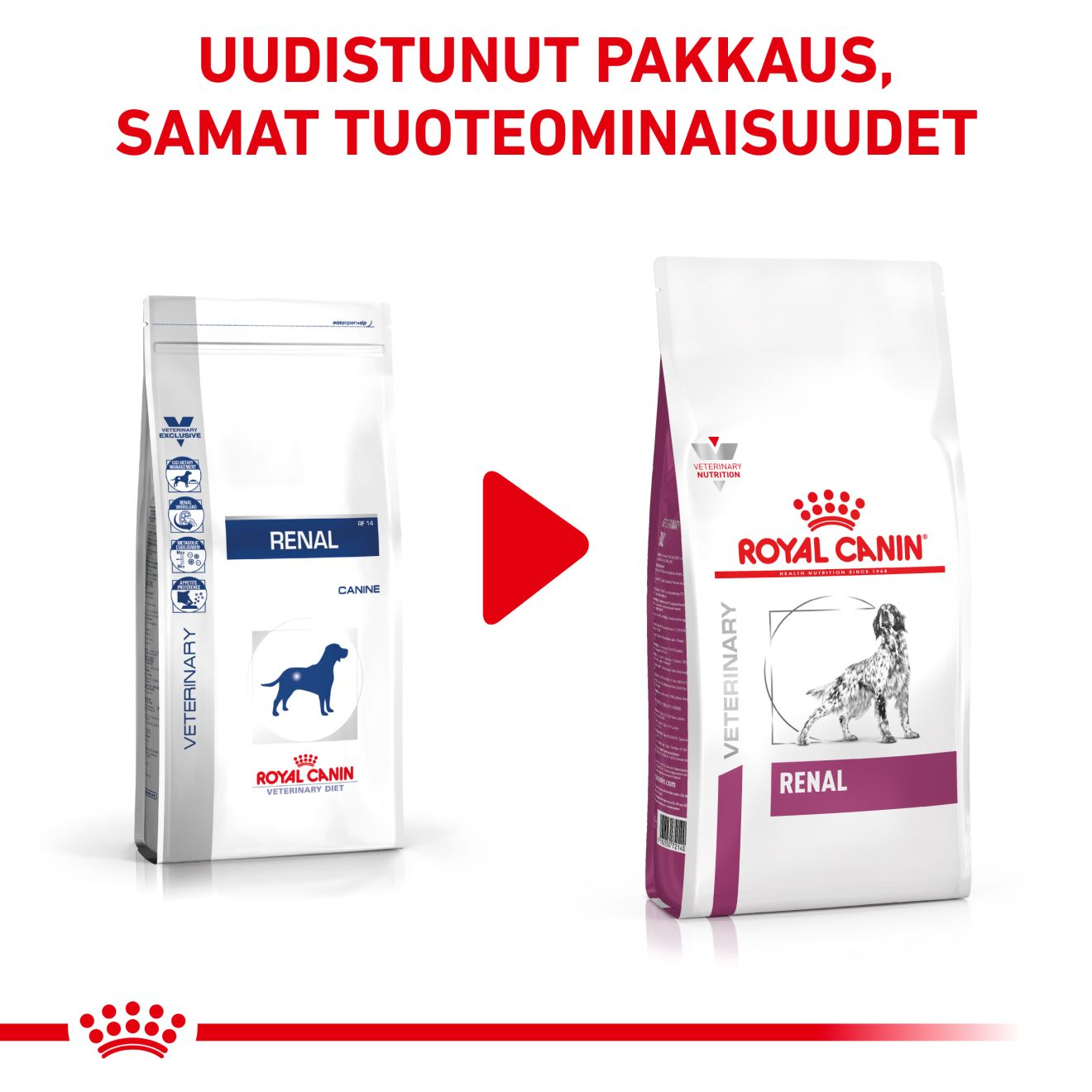 Royal Canin Veterinary Diets Renal torrfoder för hund