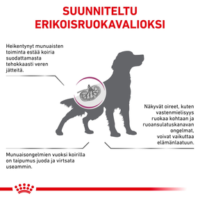 Royal Canin Veterinary Diets Renal torrfoder för hund