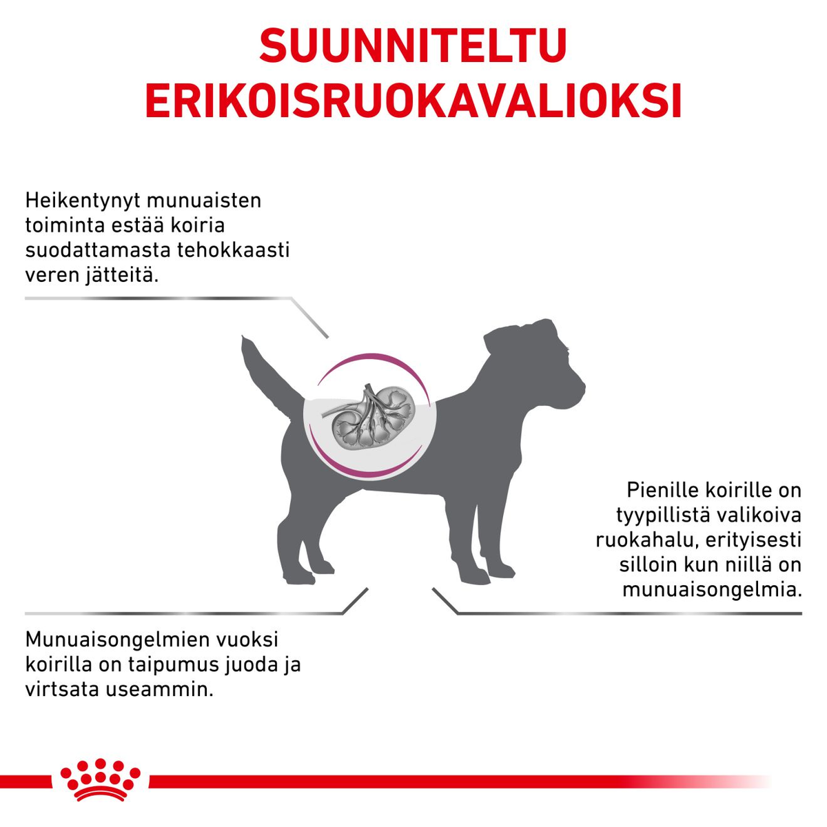 Royal Canin Veterinary Diets Vital Renal Small Dog dry food for dogs3.5 kg