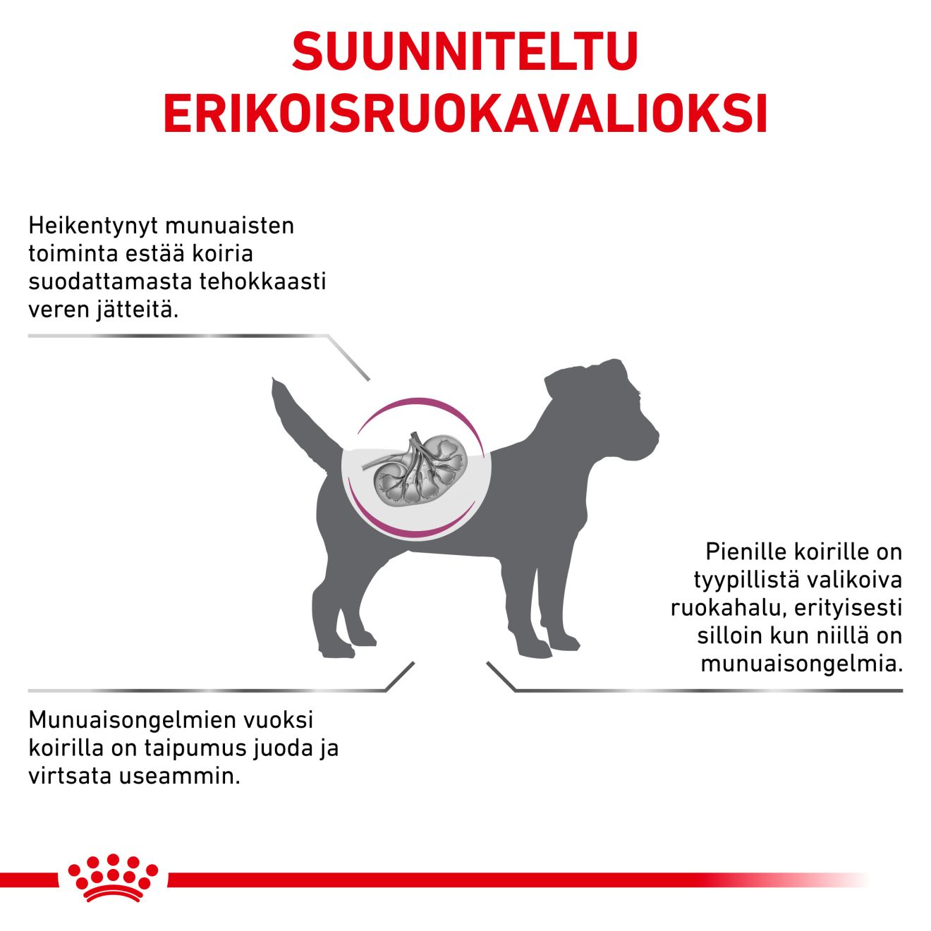 Royal Canin Veterinary Diets Vital Renal Small Dog dry food for dogs3.5 kg
