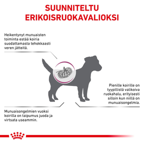 Royal Canin Veterinary Diets Vital Renal Small Dog dry food for dogs3.5 kg