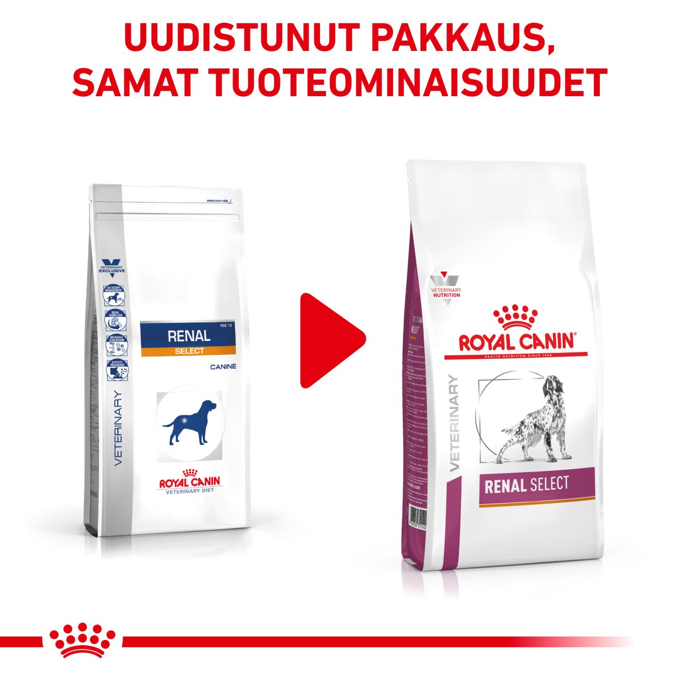 Royal Canin Veterinary Diets Renal Select torrfoder 10 kg för hundar
