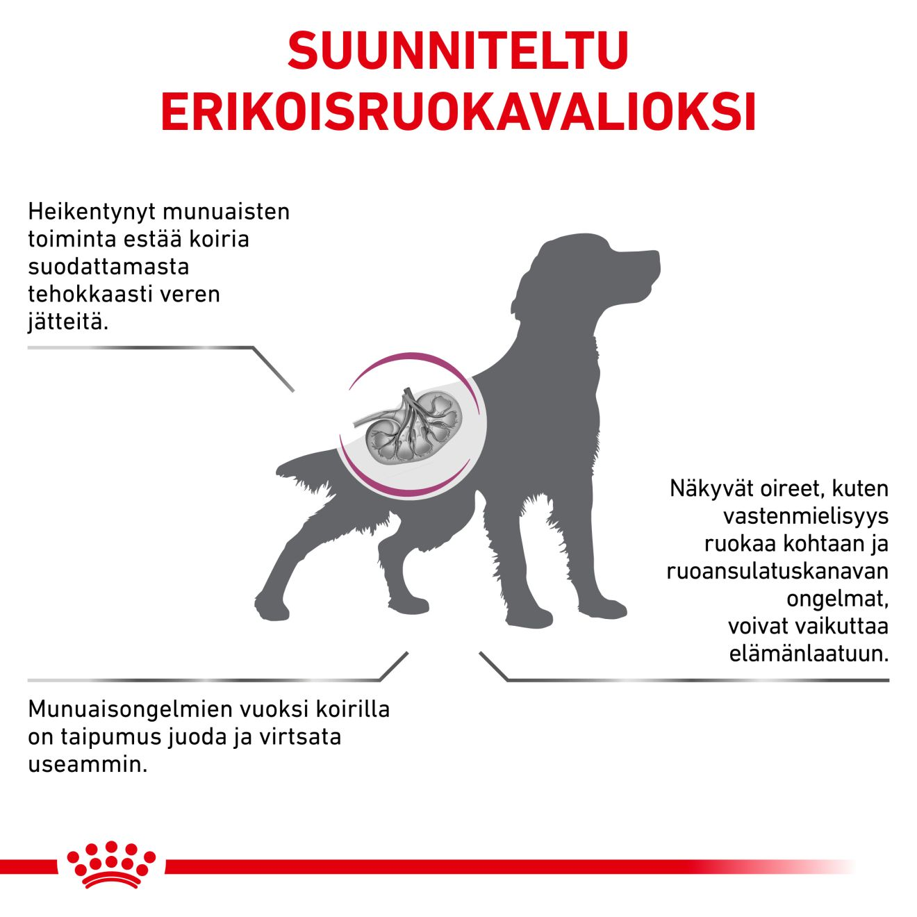 Royal Canin Veterinary Diets Renal Select torrfoder för katt