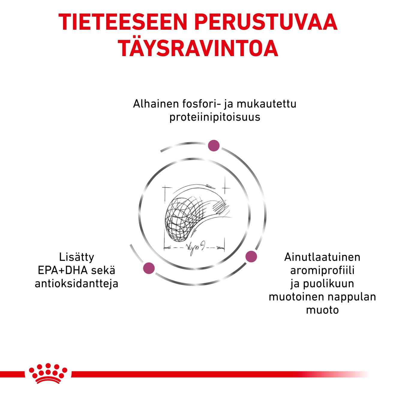 Royal Canin Veterinary Diets Renal Select torrfoder för katt