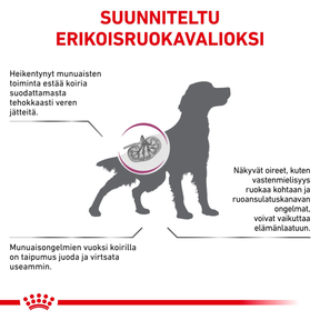 Royal Canin Veterinary Diets Renal Special 10 kg för hundar