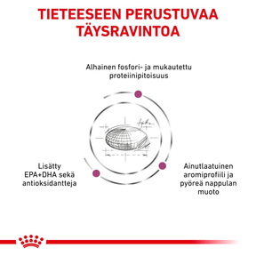 Royal Canin Veterinary Diets Renal Special 10 kg för hundar