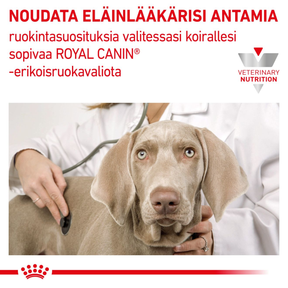 Royal Canin Veterinary Diets Renal Special 10 kg för hundar