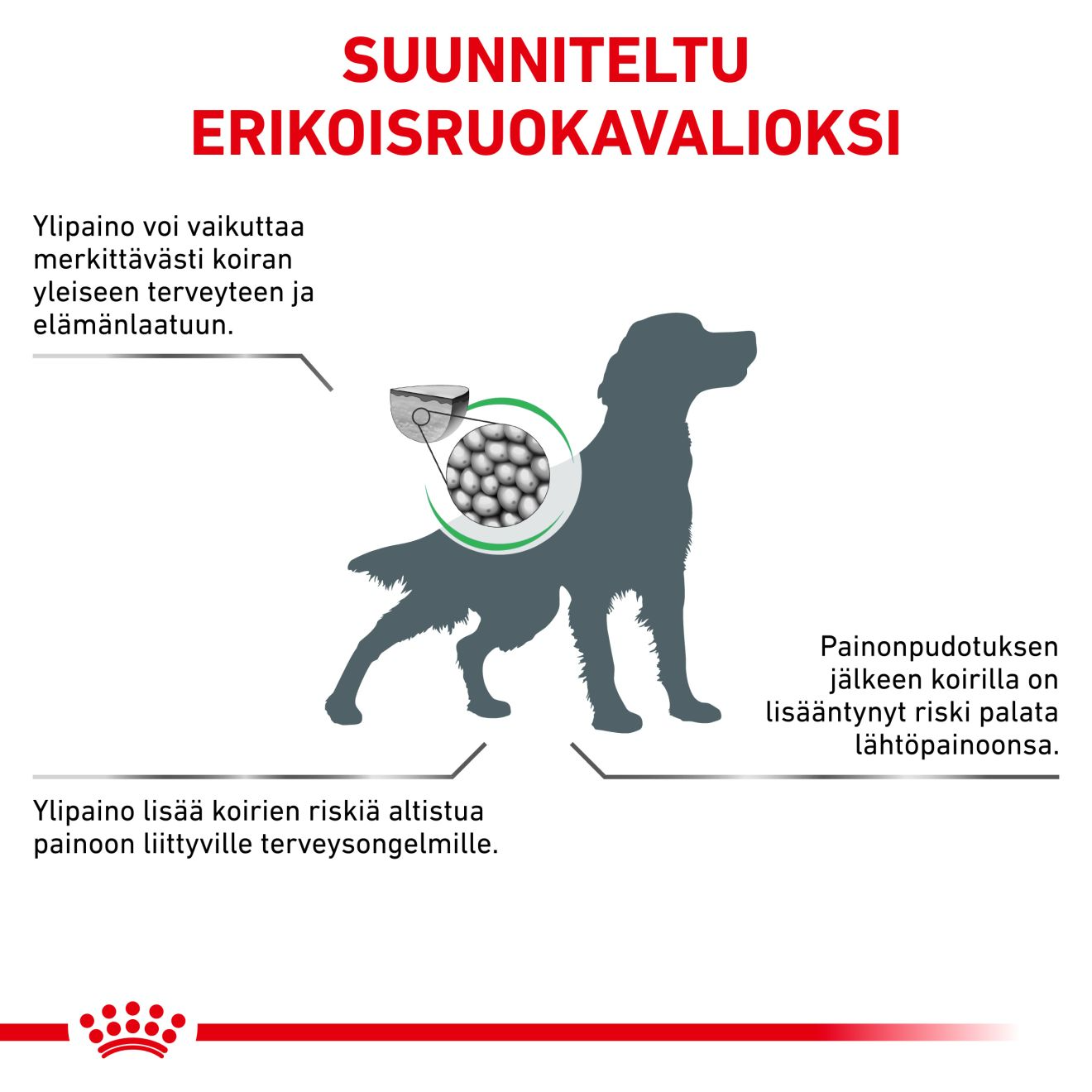 Royal Canin Veterinary Diets Weight Management Satiety kuivtoit koertele 2 x 12 kg MULTIPAKK