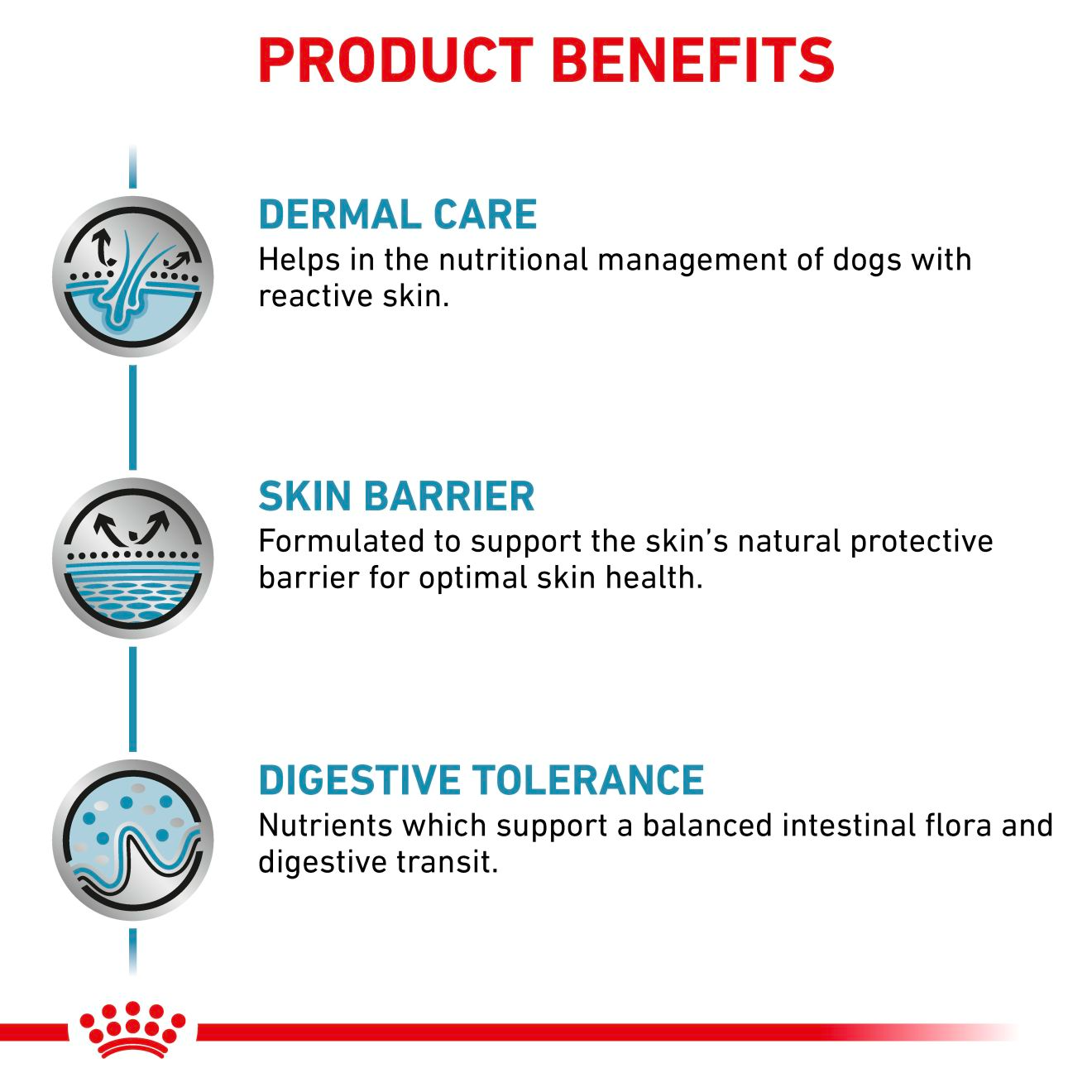 Royal Canin Veterinary Diets Derma Skin Care torrfoder 2 kg för hundar