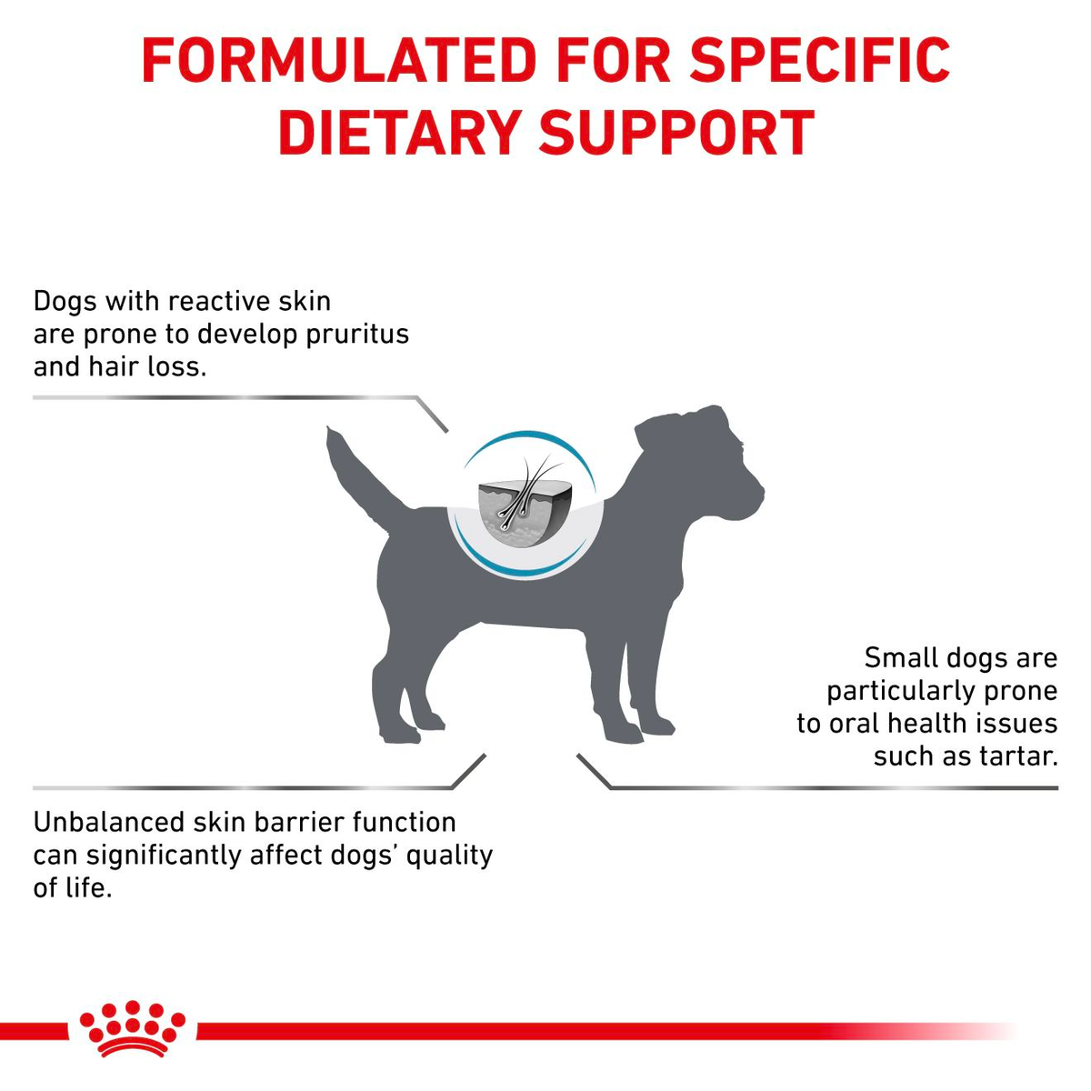 Royal Canin Veterinary Diets Derma Skin Care Small Dogs torrfoder