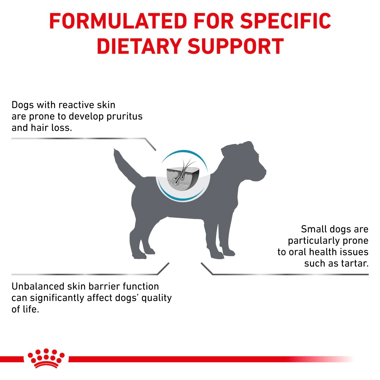 Royal Canin Veterinary Diets Derma Skin Care Small Dogs torrfoder 2 kg för hundar