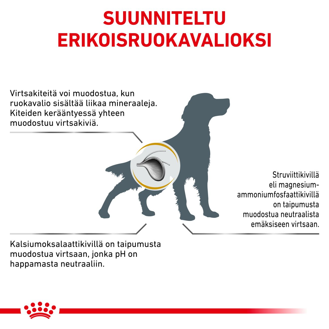 Royal Canin Veterinary Diets Urinary S/O kuivtoit koertele 2 kg