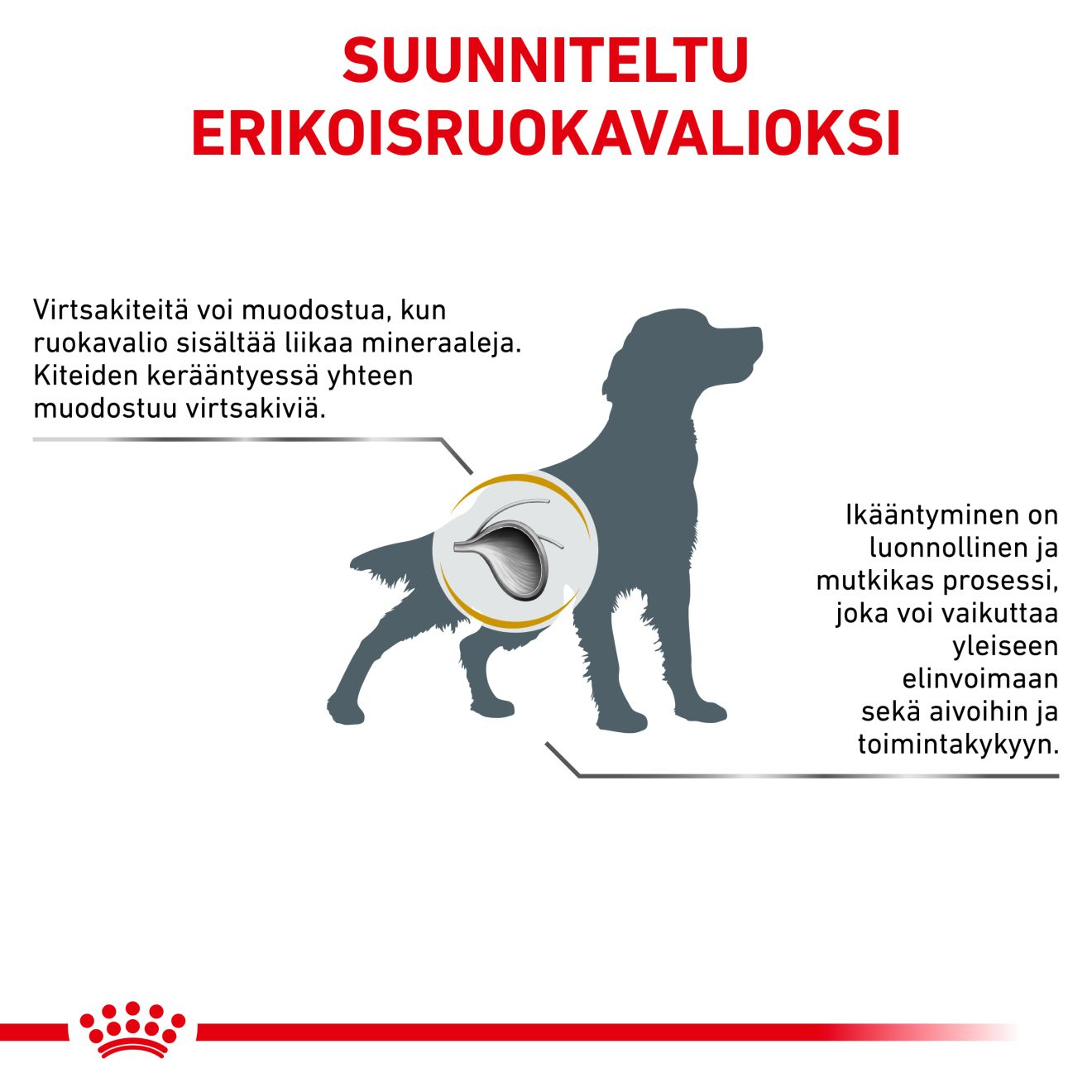 Royal Canin Veterinary Diets Urinary S/O Ageing för hundar 1,5 kg
