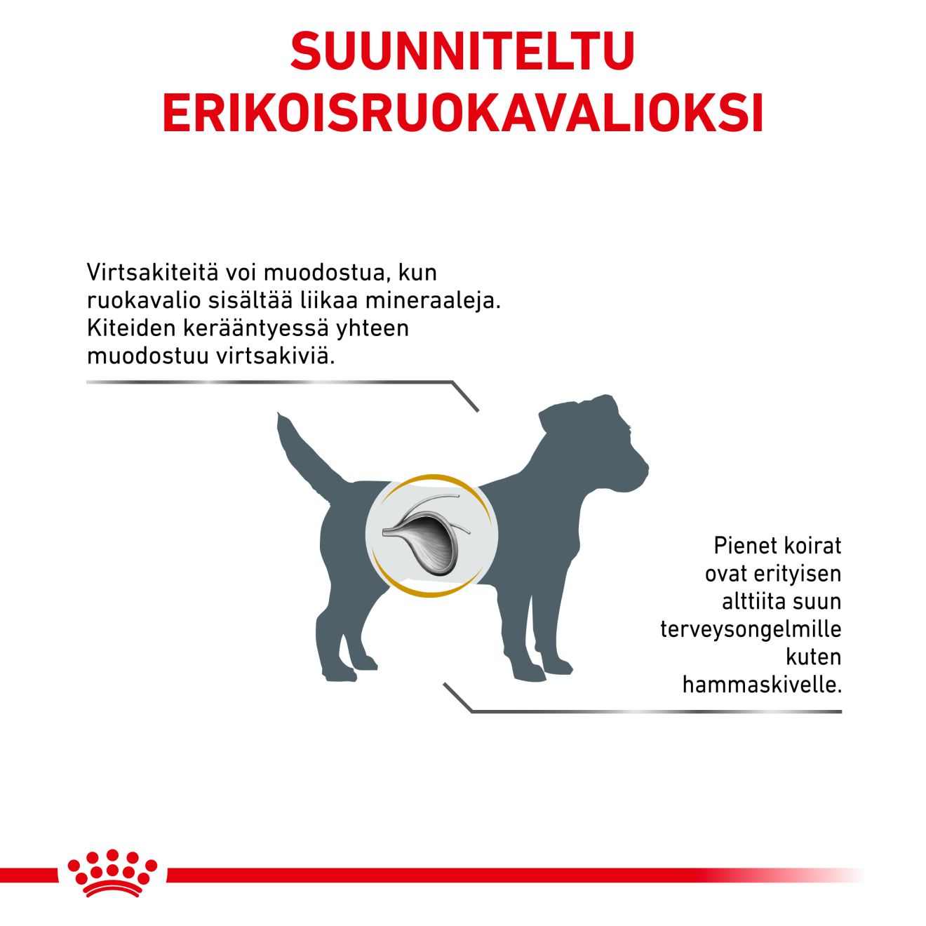 Royal Canin Veterinary Diets Urinary S/O Small Dog kuivtoit koertele 4 kg