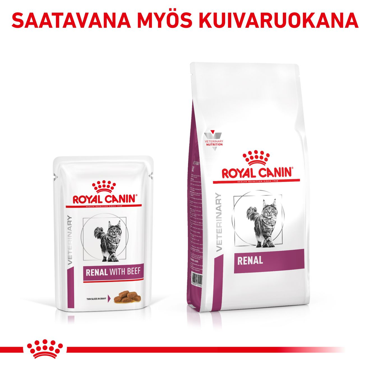 Royal Canin Veterinary Diets Vital Renal Beef wet food for cats 12 x 85 g