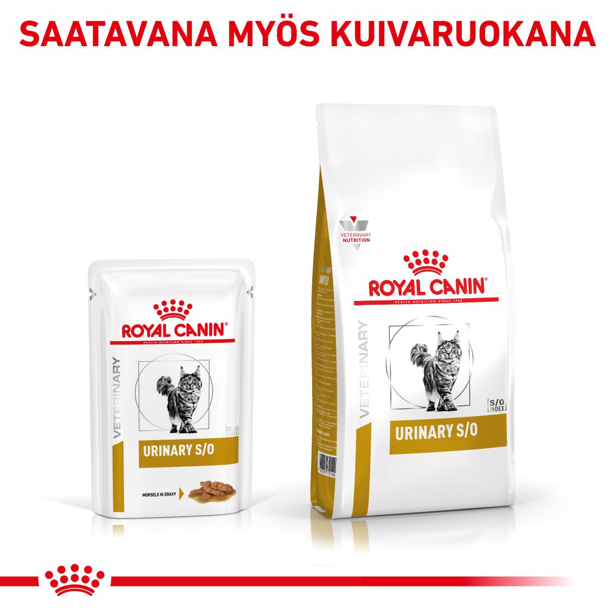 Royal Canin Veterinary Diets Urinary S/O Morcels in Gravy Pouch wet cat food 12 x 85g