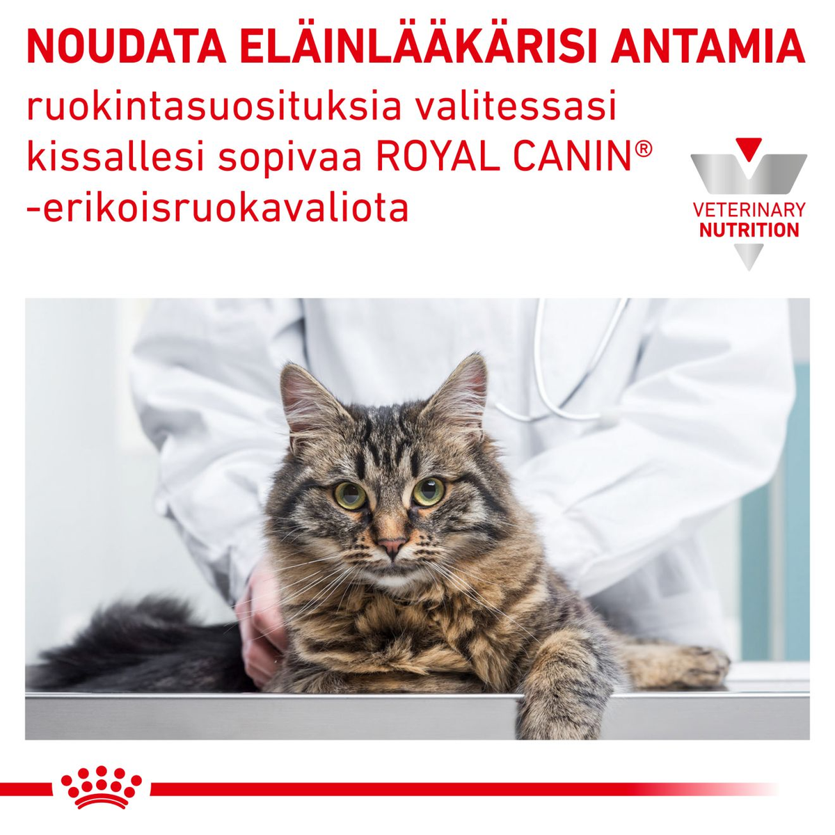 Royal Canin Veterinary Diets Urinary S/O Morcels in Gravy Pouch wet cat food 12 x 85g