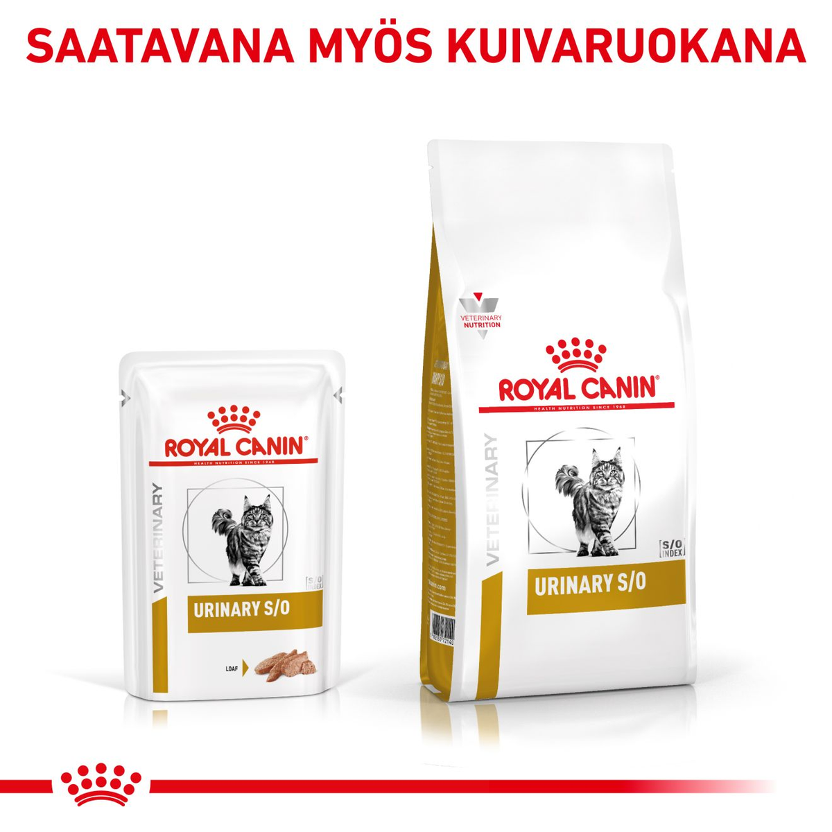Royal Canin Veterinary Diets Urinary S/O Loaf Pouch wet cat food 12 x 85g
