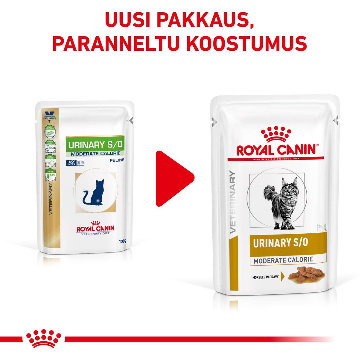 Royal Canin Veterinary Diets Urinary S/O Moderate Calorie Morcels in Gravy Pouch wet cat food 12 x 85g