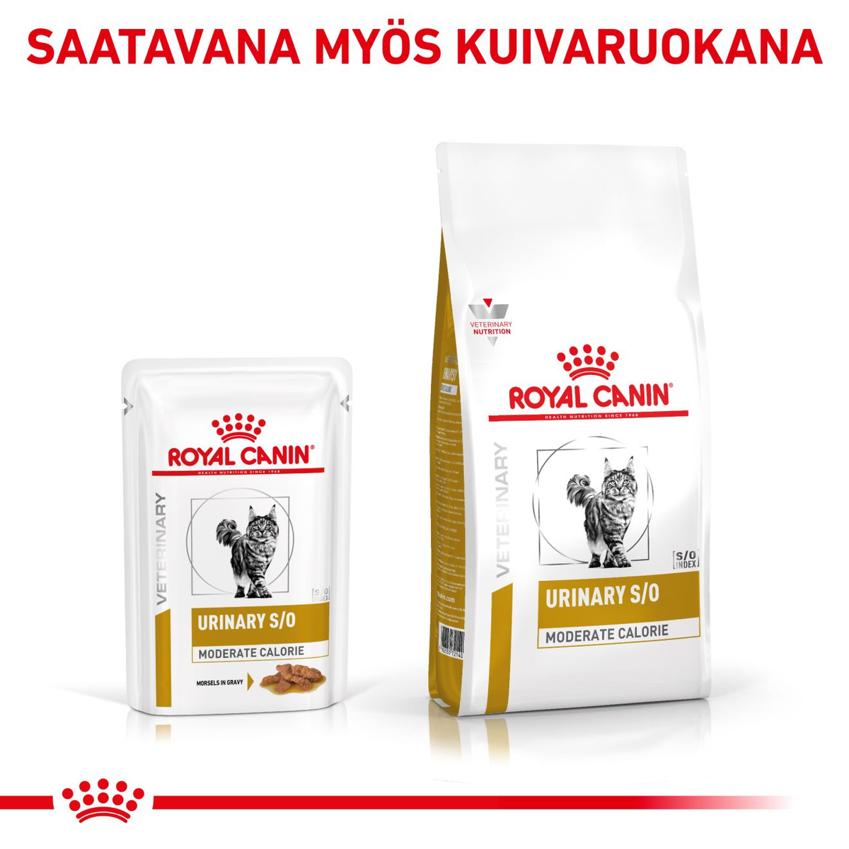 Royal Canin Veterinary Diets Urinary S/O Moderate Calorie Morcels in Gravy Pouch wet cat food 12 x 85g
