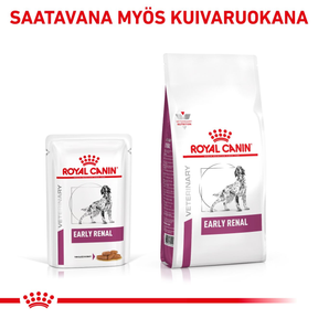 Royal Canin Veterinary Diets Vital Early Renal wet food for dogs 12 x 100 g