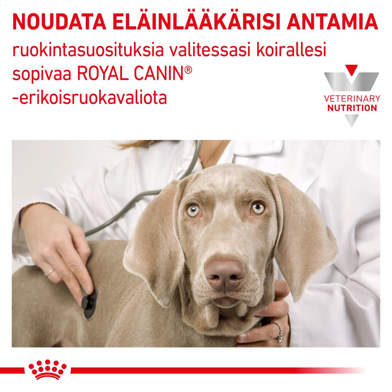 Royal Canin Veterinary Diets Gastrointestinal Puppy Mousse våtfoder 195 g för hundar