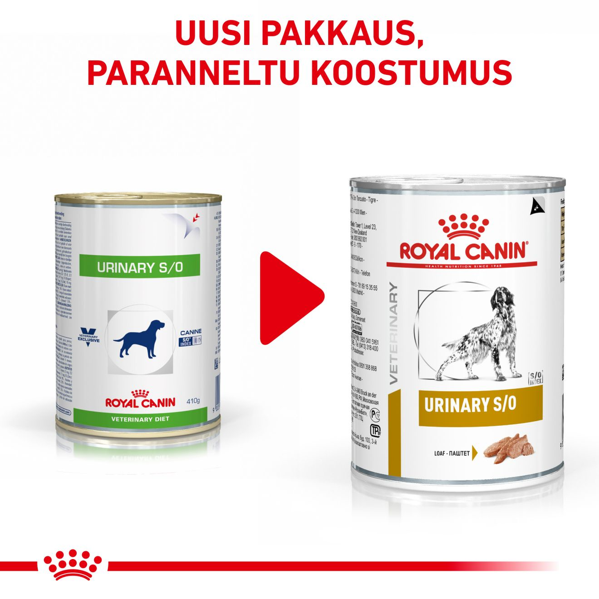 Royal Canin Veterinary Diets Urinary S/O Loaf wet food for dogs 12 x 410g