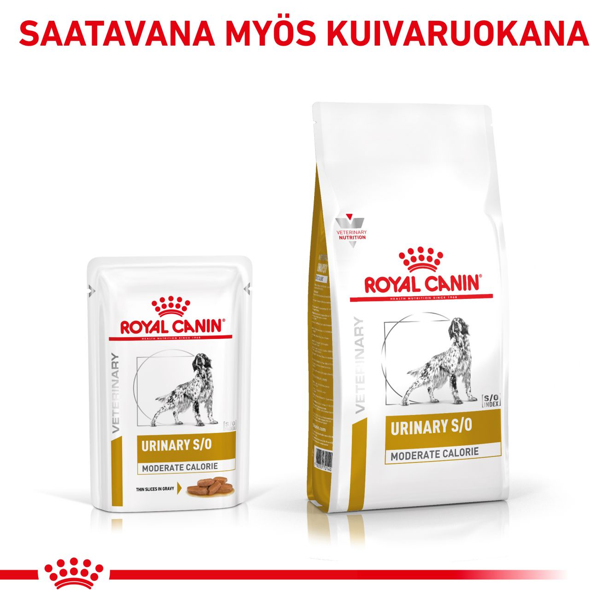 Royal Canin Veterinary Diets Urinary S/O MC wet food for dogs 12 x 100 g