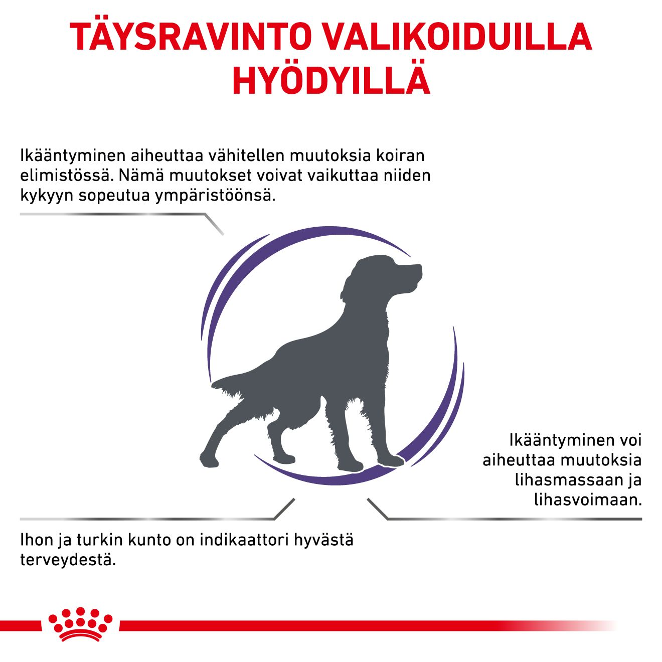 Royal Canin Veterinary Diets Health Management Mature Consult dry food for dogs 10 kg