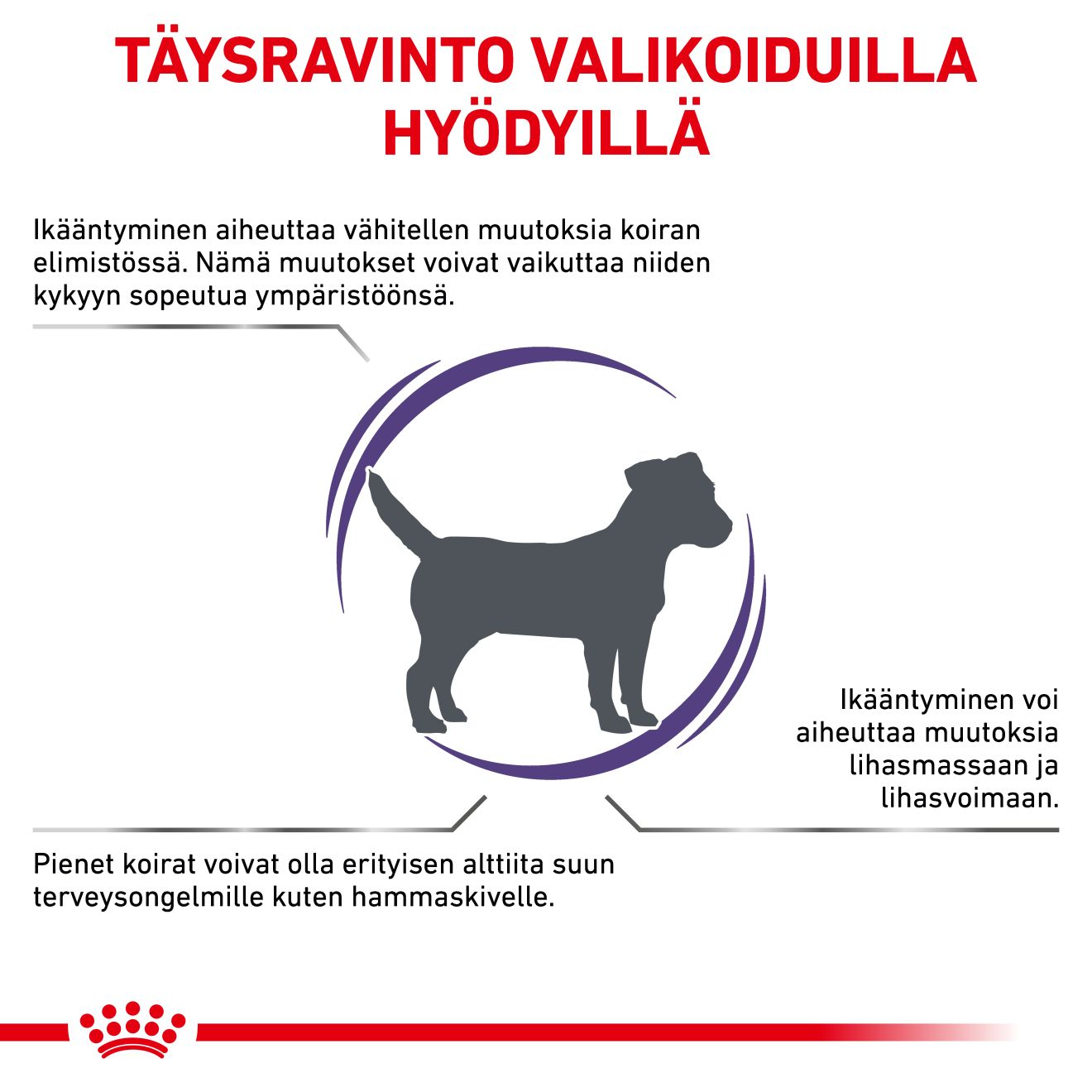 Royal Canin Veterinary Diets Health Management Mature Consult Small Dog för hundar 3,5 kg