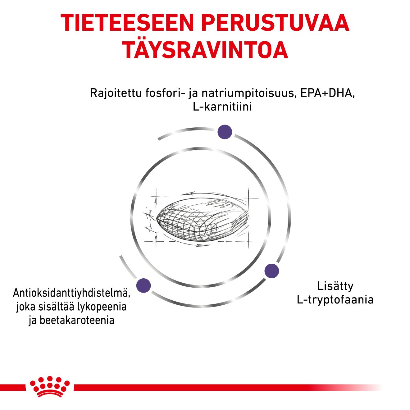 Royal Canin Veterinary Diets Health Management Mature Consult Small Dog för hundar 3,5 kg