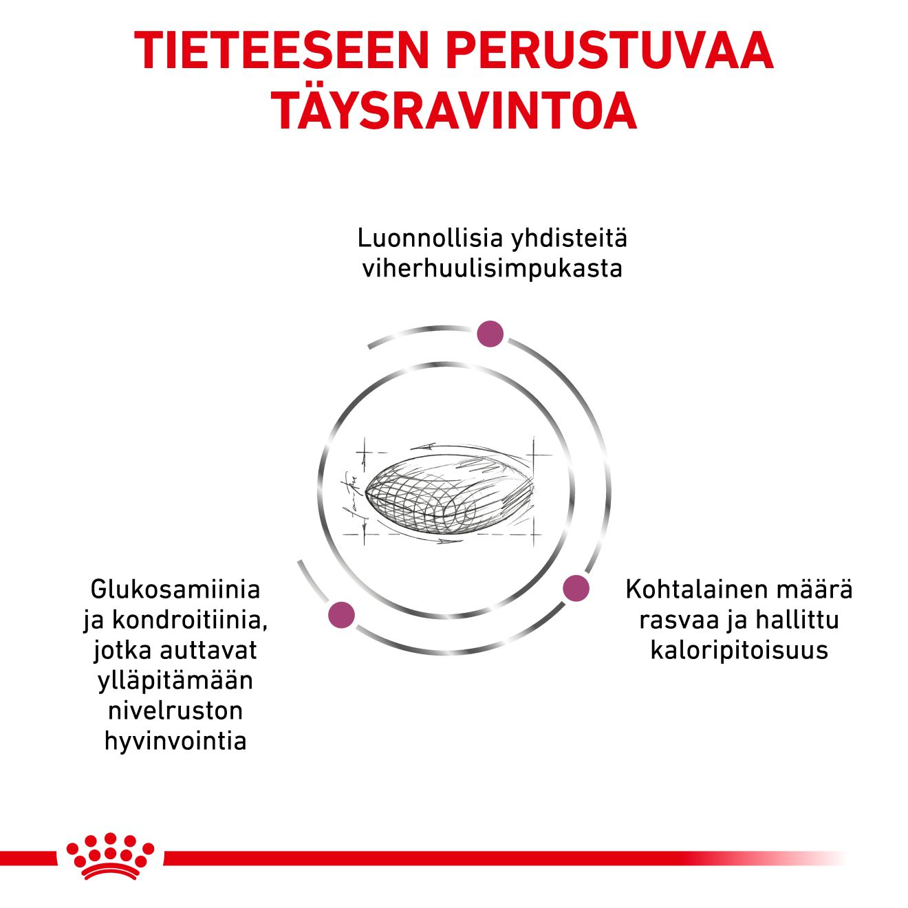 Royal Canin Veterinary Diets Mobility Support torrfoder för hund 12 kg