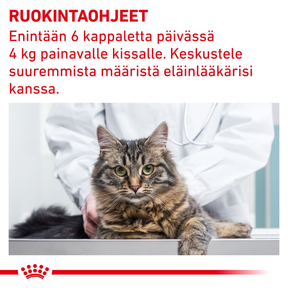 Royal Canin Veterinary Diets Pill Assist katt 45 g