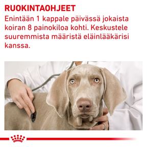 Royal Canin Veterinary Diets Pill Assist Medium/Large Dog Pill assist for dogs 224 g