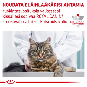 Royal Canin Veterinary Diets Derma Sensitivity Control Chicken Pouch våtfoder för katt 12x85g