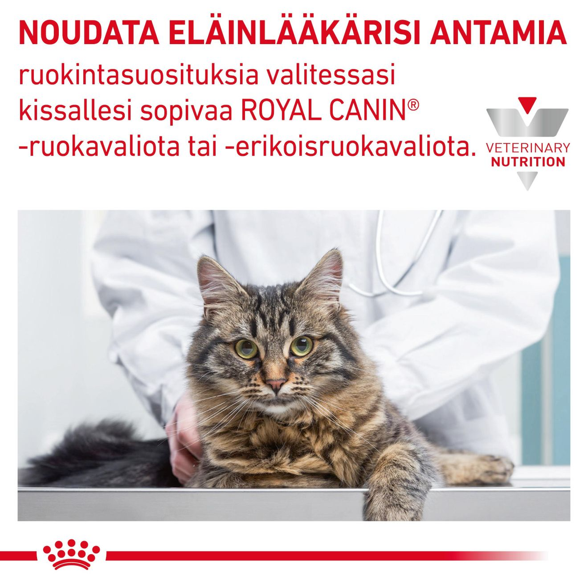 Royal Canin Veterinary Diets Derma Skin & Coat Pouch wet cat food 12 x 85g