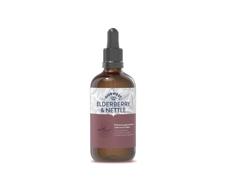 Dorwest fläder- och nässelextrakt 100 ml