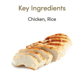 Applaws Senior Chicken in Jelly 70 g