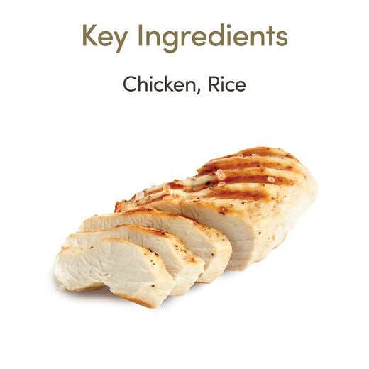 Applaws Senior Cat Chicken in Jelly  24 x 70 g