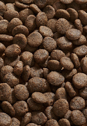 Sensitive Diet Hanhi - Vet Concept