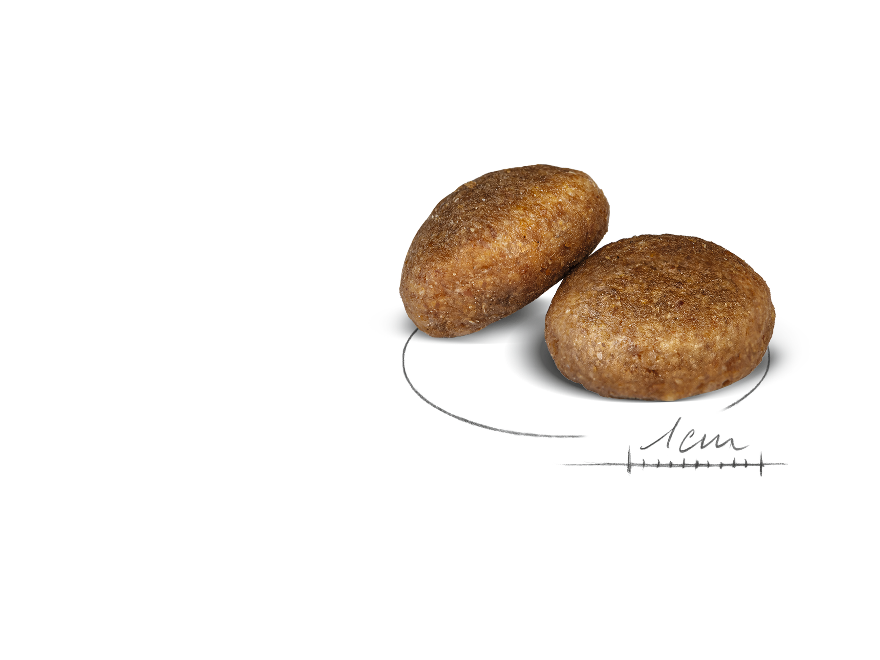 Royal Canin Maxi Adult Dog 15 kg