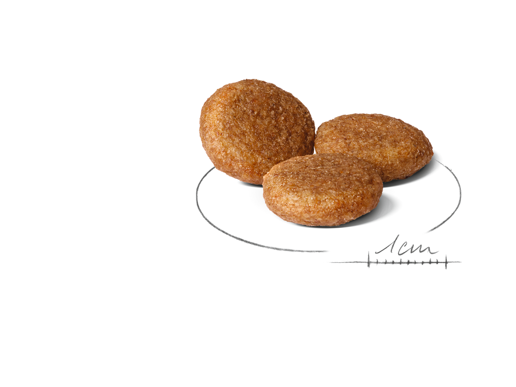 Royal Canin Medium Adult Dog 15 kg