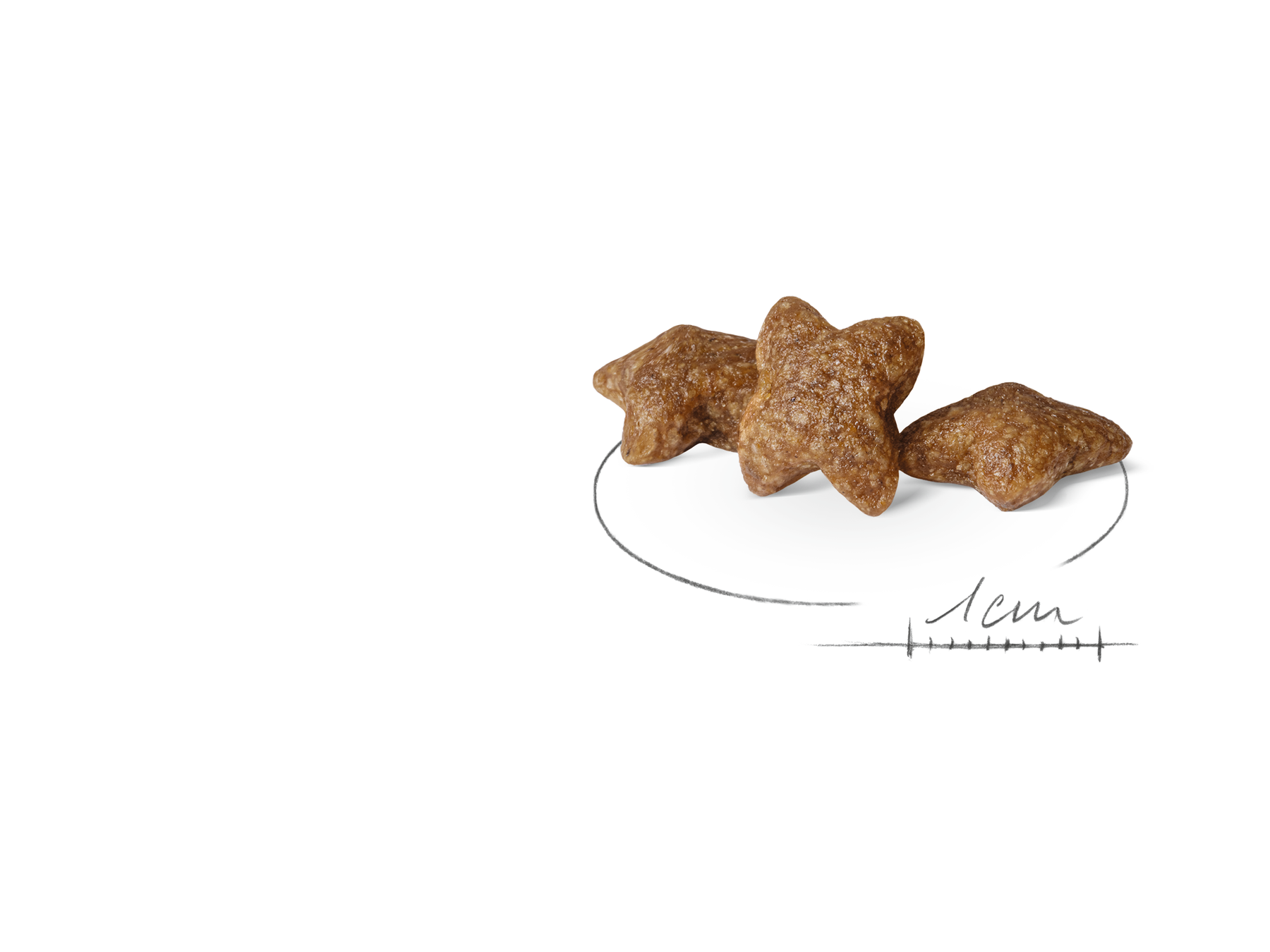 Royal Canin Mini Adult Dog 800 g