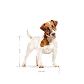 Royal Canin Mini Adult 4 kg för hundar