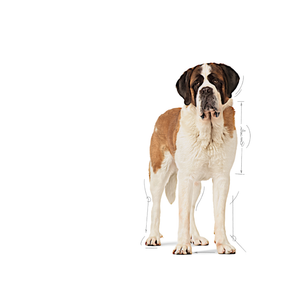 Royal Canin Giant Junior torrfoder 15 kg för hundar