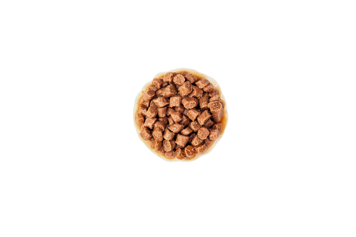 Royal Canin Kitten kastmes märgtoit kassipoegadele 12 x 85 g MULTIPAKK